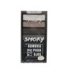 Paleta de Sombras Venas Smoky 1