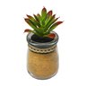 vaso com suculenta artificial onyx vidro 6 1