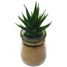 vaso com suculenta artificial onyx vidro 7 1