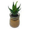 vaso com suculenta artificial onyx vidro 9 2